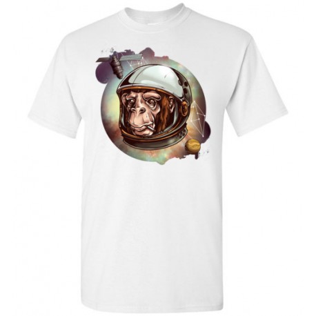 Space Chimp