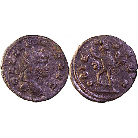 Gallienus, Ant, 264-265 AD, TCRIS-259