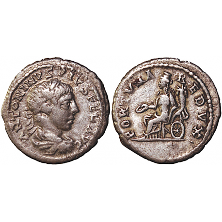 Vespasian, Denarius 69-79 AD, TCRIS-31