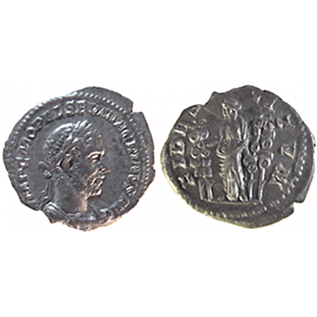 Macrinus, Denarius, 217 AD, TCRIS-05a