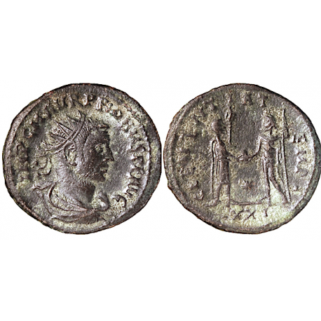 Probus, Ant, 276-282 AD, TCRIS-142