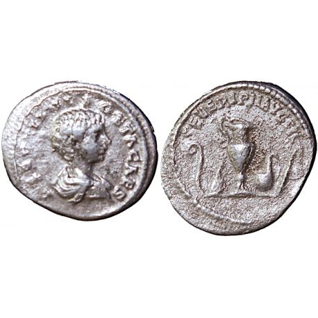 Geta, Denarius, 198-200 AD, TCRIS-72