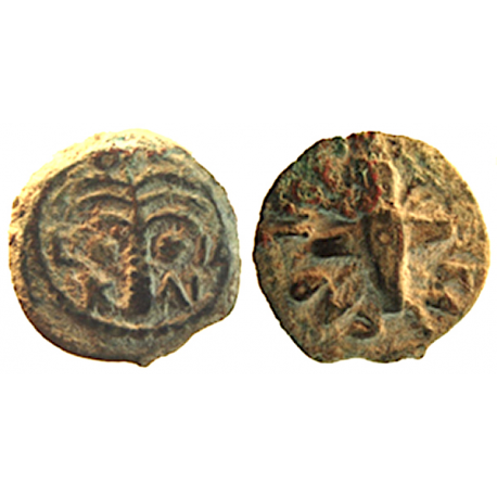 Antonius Felix, under Claudius, Prutah, TCJBB-16,
