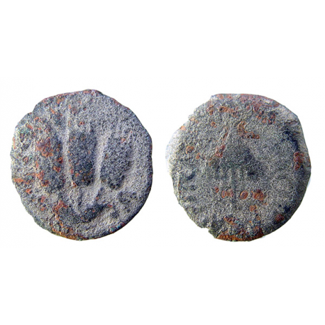 Agrippa 1 Year 6, 41/42 CE, Prutah, TCJBB-22,