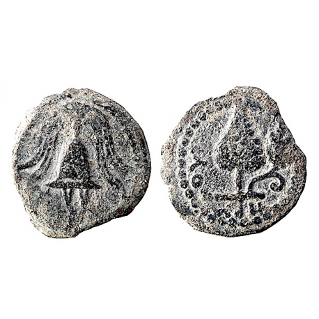 Palestine Herod Archelaus AE, TCJBB-26