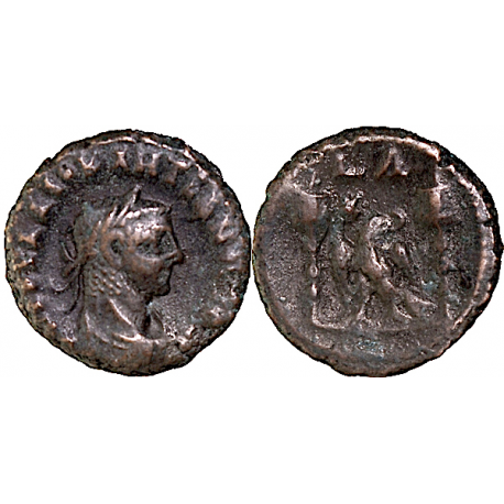 TCGKPB-102, EGYPT, DIOCLETIAN, SMALL EAGLE