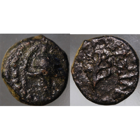 TCGKB-34, SELEUKID KINGS OF SERIA, ANTIOCHUS VII,