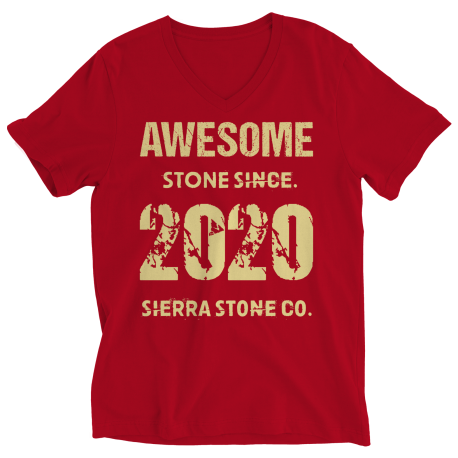 Awesome Stone Since 2020 V Neck Shirt