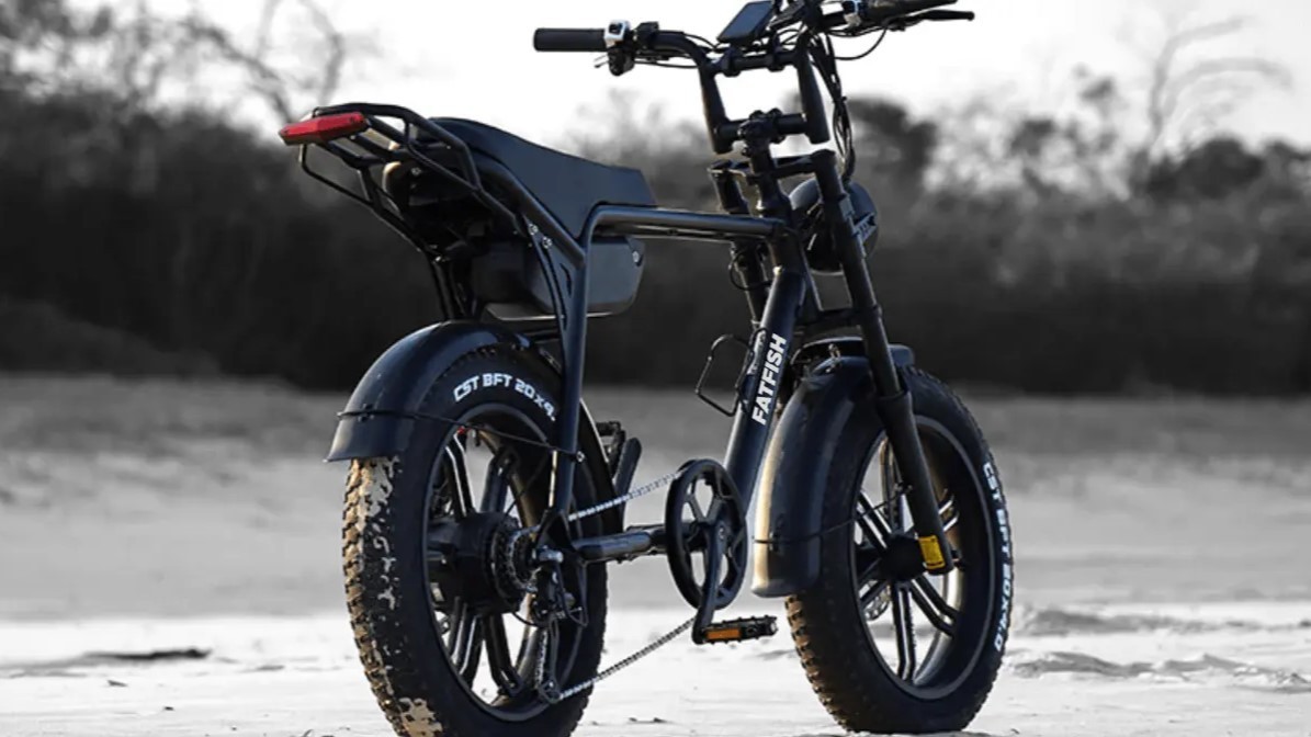 Electric Bikes - Wavez Water Sports