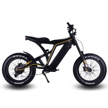 Vsett Eagle e-Bike 48V 20Ah