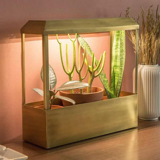 Smart Brass Growhouse