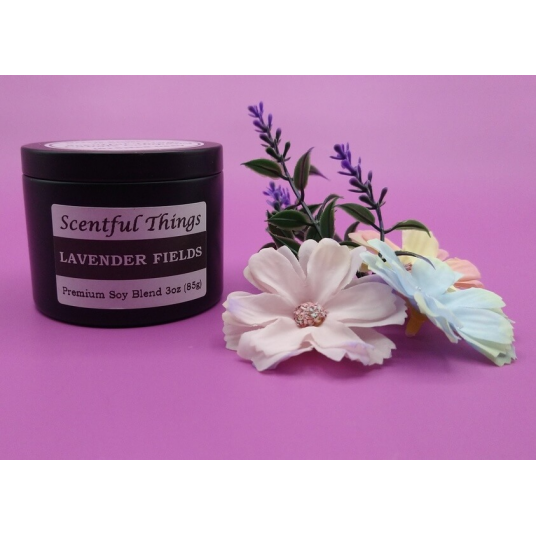 Lavender Fields