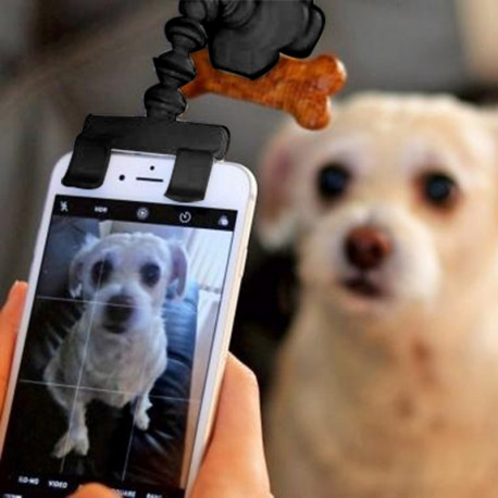 Doggie Selfie Stick