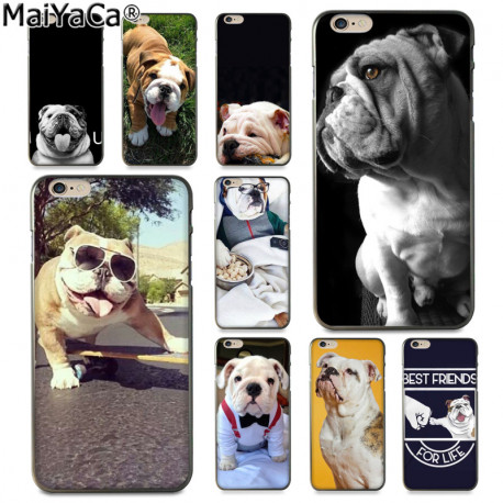 English Bulldog Cases (9 Designs)