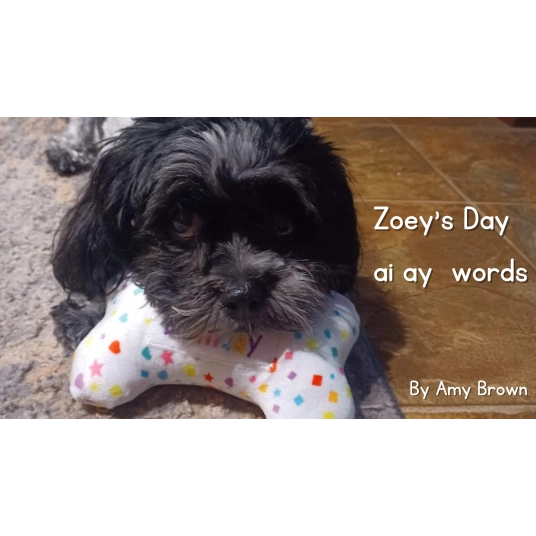 Zoey's Day: ai and ay words eBook
