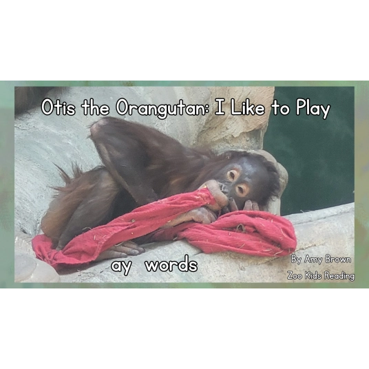 Otis the Orangutan: I like to play ay words eBook