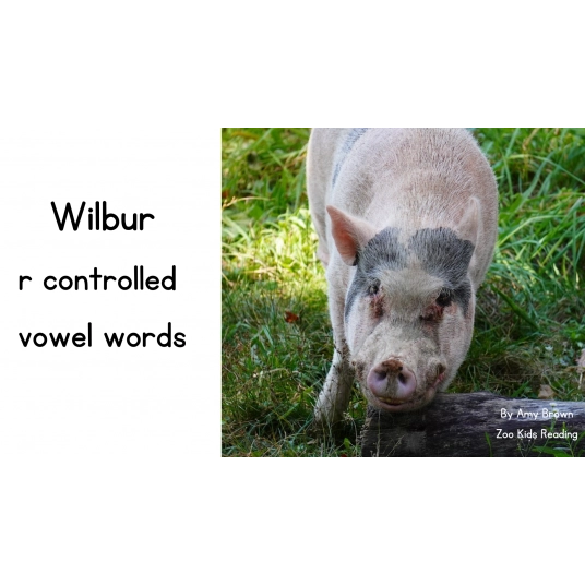 Wilbur: r-controlled vowel words Basic Version eBook