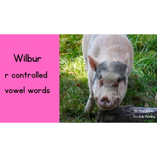 Wilbur: r-controlled vowel words eBook