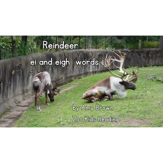 Reindeer: ei and eigh words eBook