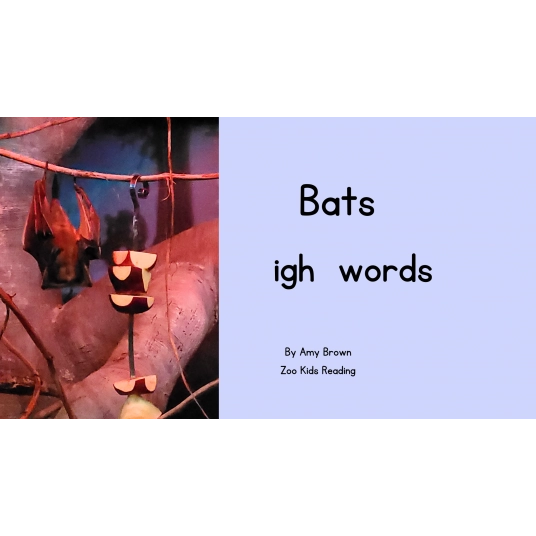 Bats: igh words eBook