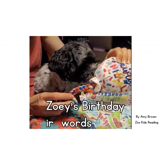 Zoey's Birthday: ir words eBook Basic Version