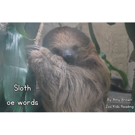 Sloth: OE Words eBook