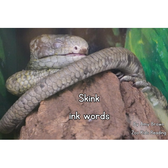 Skink: ink Words eBook