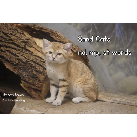 Sand Cat: nd, mp, st Words eBook