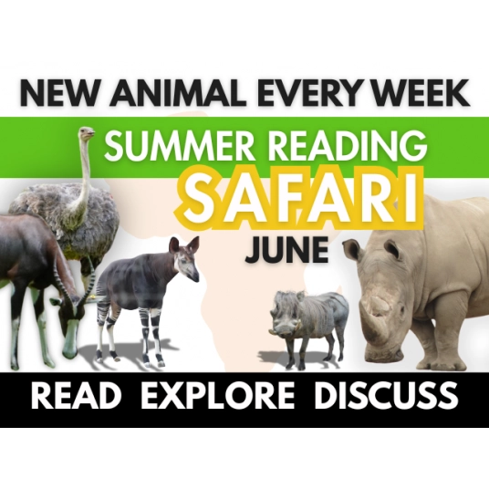 June Summer Reading Safari