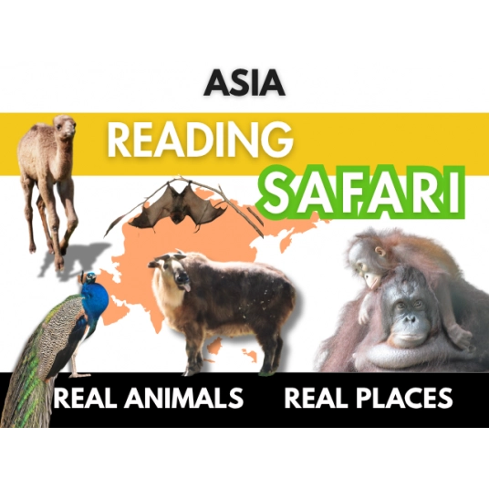Asia Reading Safari