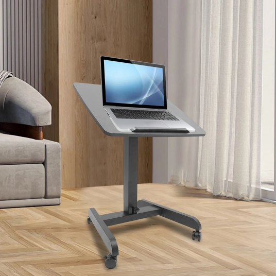 Iron Mobile Standing Desk with 15kg Load Angle Adjustment 112cm Height Lectern-Style Portable Workstation (Black, Floor Mount)​